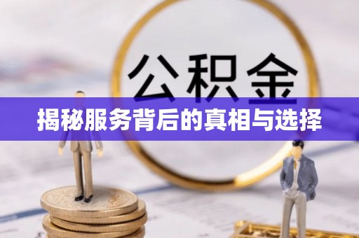 海盐揭秘服务背后的真相与选择