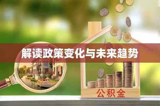 海盐解读政策变化与未来趋势