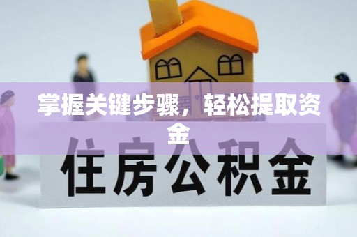 海盐掌握关键步骤，轻松提取资金