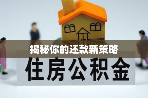 海盐揭秘你的还款新策略