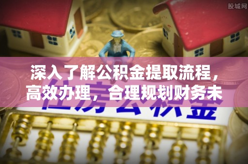 海盐深入了解公积金提取流程，高效办理，合理规划财务未来