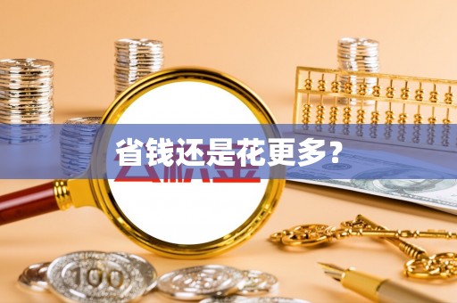 海盐省钱还是花更多？