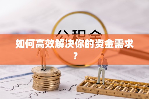 海盐如何高效解决你的资金需求？