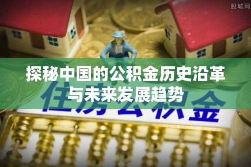 海盐探秘中国的公积金历史沿革与未来发展趋势