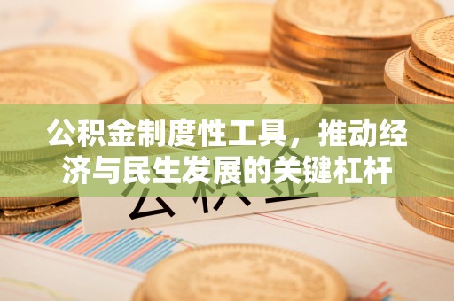 海盐公积金制度性工具，推动经济与民生发展的关键杠杆