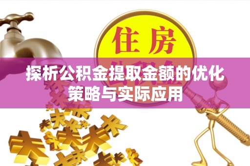 海盐探析公积金提取金额的优化策略与实际应用