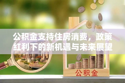 海盐公积金支持住房消费，政策红利下的新机遇与未来展望