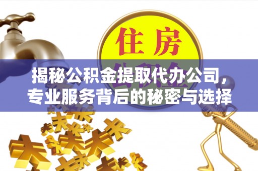 海盐揭秘公积金提取代办公司，专业服务背后的秘密与选择指南