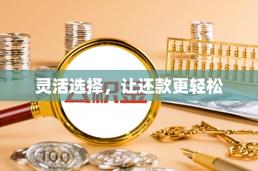 海盐灵活选择，让还款更轻松