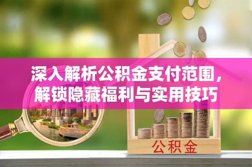 海盐深入解析公积金支付范围，解锁隐藏福利与实用技巧