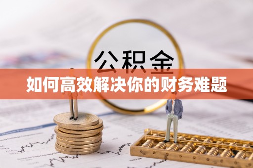 海盐如何高效解决你的财务难题