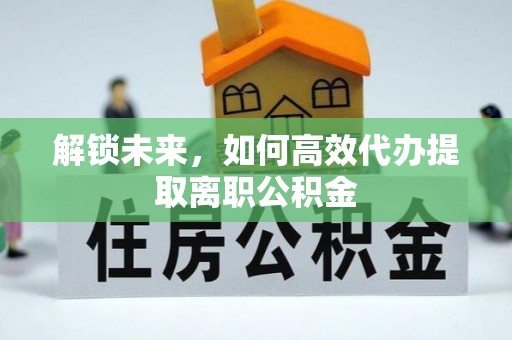 海盐解锁未来，如何高效代办提取离职公积金