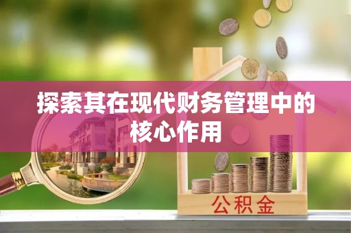 海盐探索其在现代财务管理中的核心作用