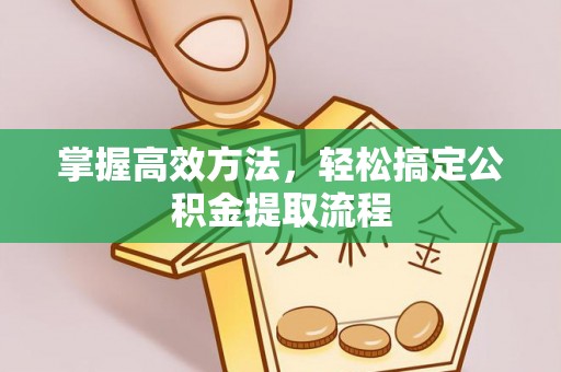 海盐掌握高效方法，轻松搞定公积金提取流程