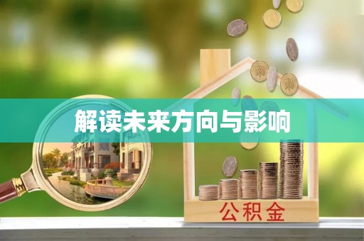 海盐解读未来方向与影响