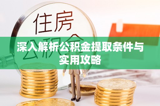 海盐深入解析公积金提取条件与实用攻略