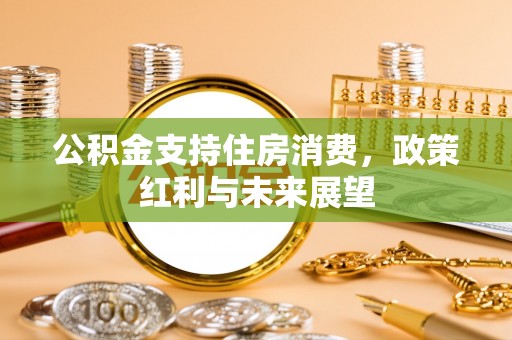 海盐公积金支持住房消费，政策红利与未来展望