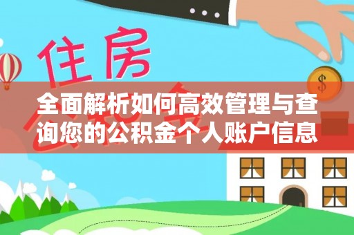 海盐全面解析如何高效管理与查询您的公积金个人账户信息