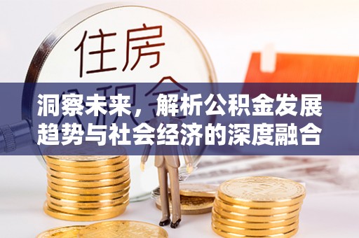 海盐洞察未来，解析公积金发展趋势与社会经济的深度融合