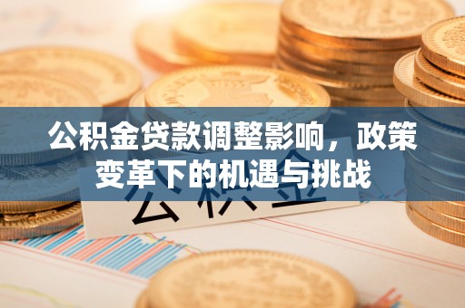 海盐公积金贷款调整影响，政策变革下的机遇与挑战
