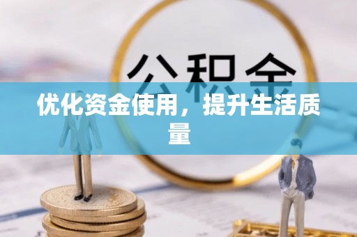 海盐优化资金使用，提升生活质量