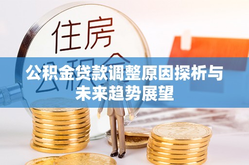海盐公积金贷款调整原因探析与未来趋势展望