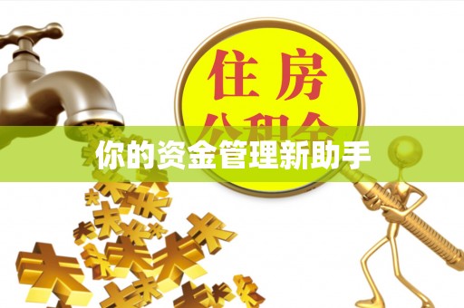 海盐你的资金管理新助手