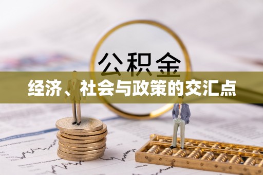 海盐经济、社会与政策的交汇点