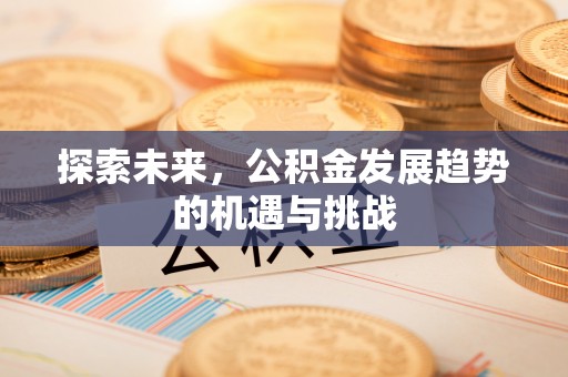 海盐探索未来，公积金发展趋势的机遇与挑战