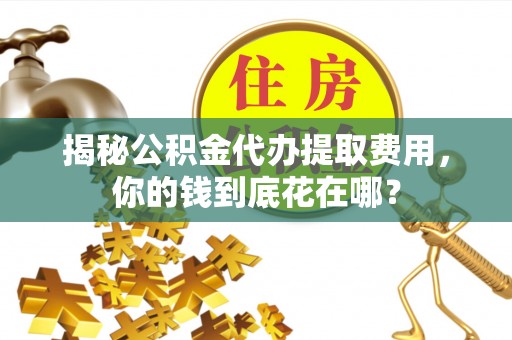 海盐揭秘公积金代办提取费用，你的钱到底花在哪？