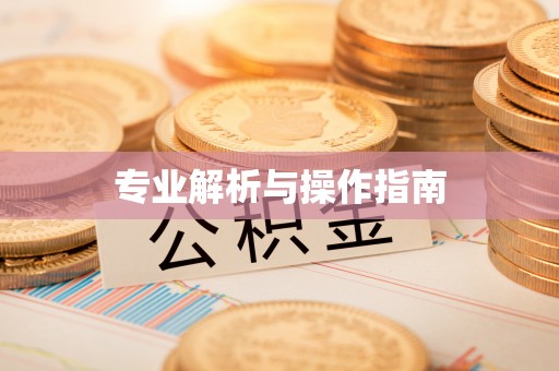 海盐专业解析与操作指南
