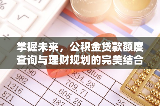 海盐掌握未来，公积金贷款额度查询与理财规划的完美结合