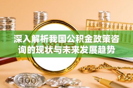 海盐深入解析我国公积金政策咨询的现状与未来发展趋势
