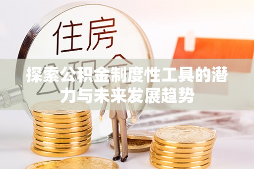 海盐探索公积金制度性工具的潜力与未来发展趋势