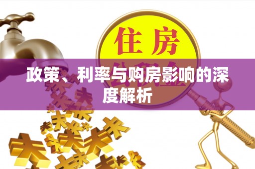 海盐政策、利率与购房影响的深度解析