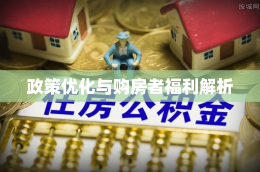 海盐政策优化与购房者福利解析