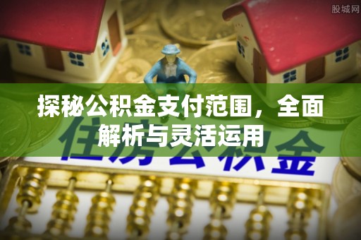 海盐探秘公积金支付范围，全面解析与灵活运用