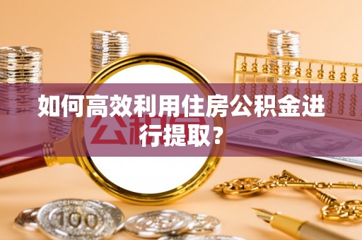 海盐如何高效利用住房公积金进行提取？