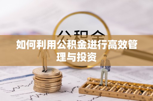 海盐如何利用公积金进行高效管理与投资