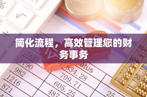 海盐简化流程，高效管理您的财务事务