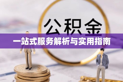 海盐一站式服务解析与实用指南