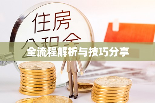 海盐全流程解析与技巧分享