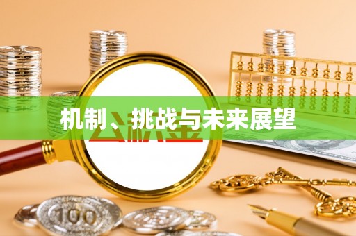 海盐机制、挑战与未来展望