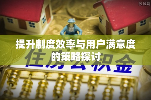海盐提升制度效率与用户满意度的策略探讨
